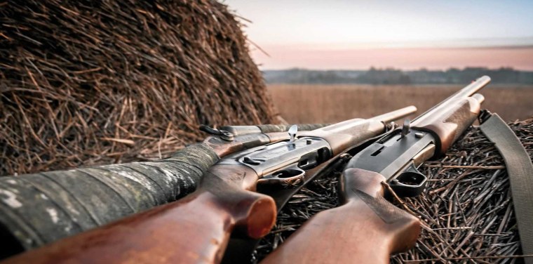 Охота красивая