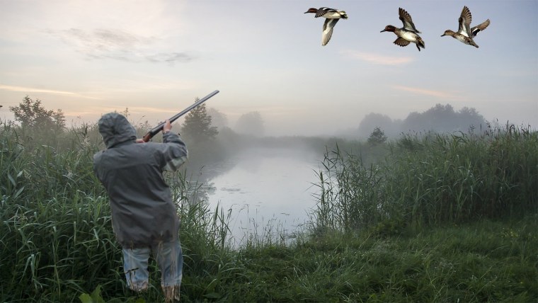 Охота и рыбалка