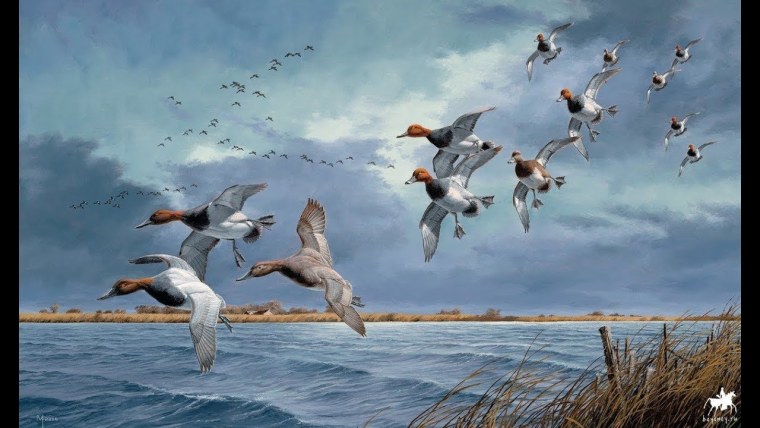 Олень в далеке