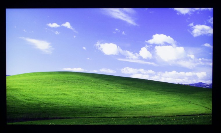 Windows XP луг