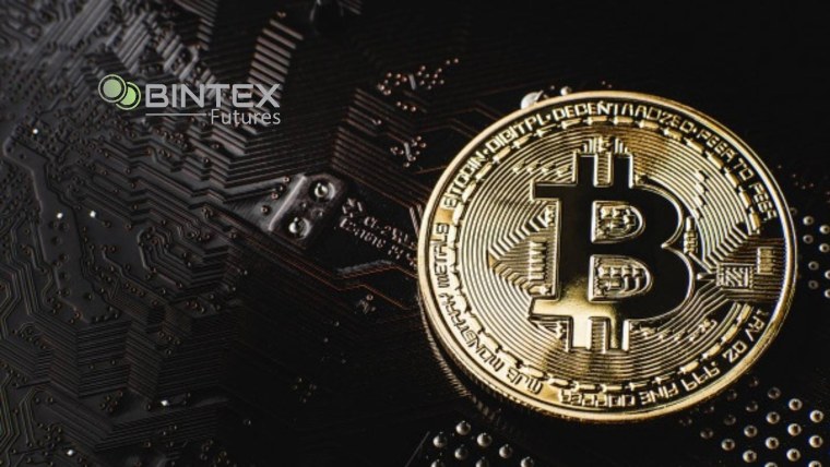 Биткоин сеть