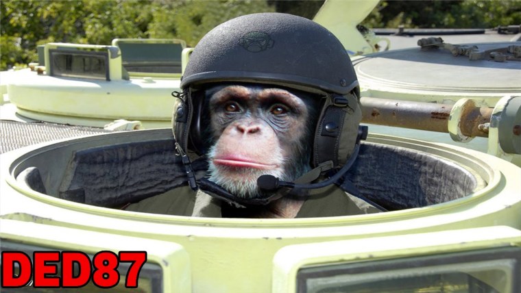 Обезьяна в шлеме