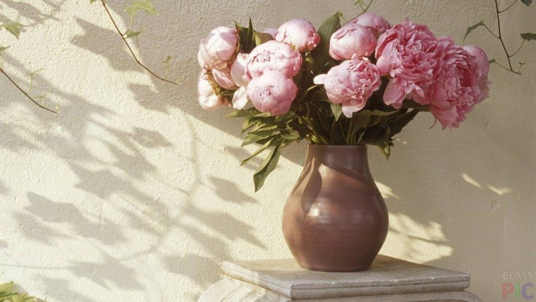 Алина Ланкина пионы