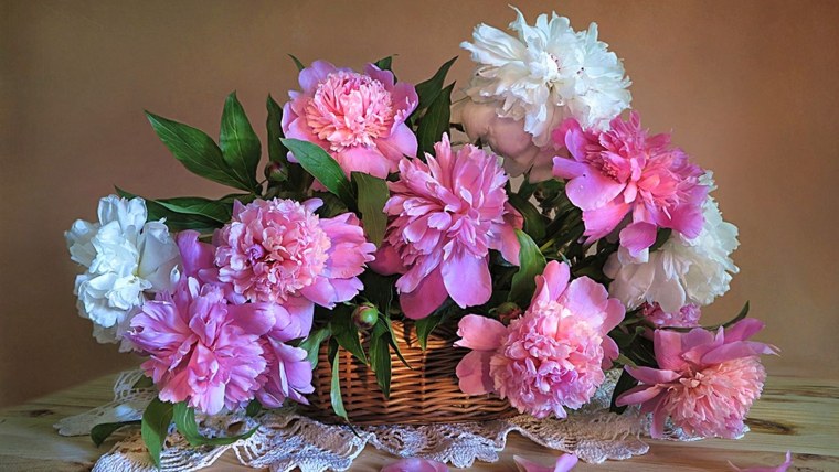 Цветок "пион"