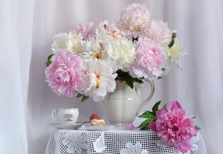 Пион розовый зефир