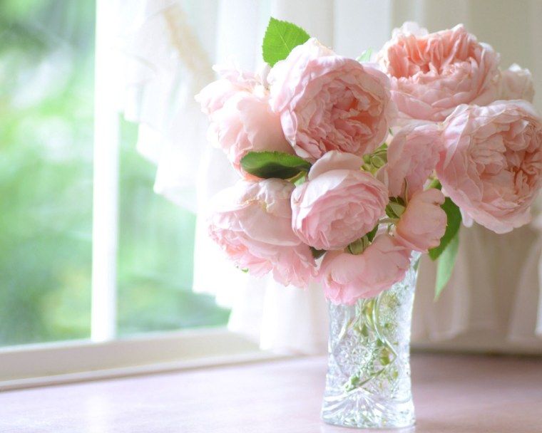 Огромный букет пионов