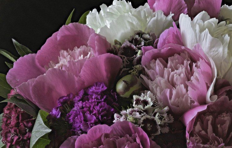 Пион букет Макросъёмка