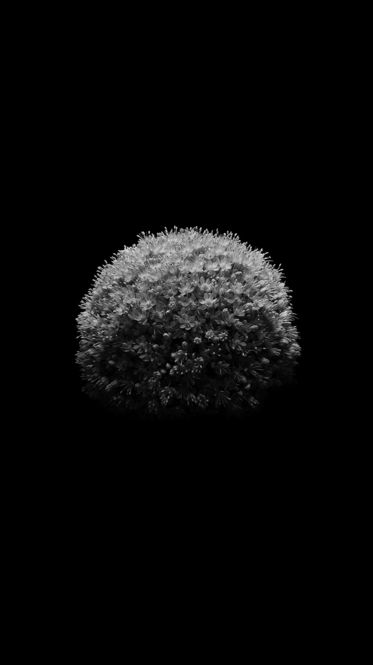 Черные обои амолед