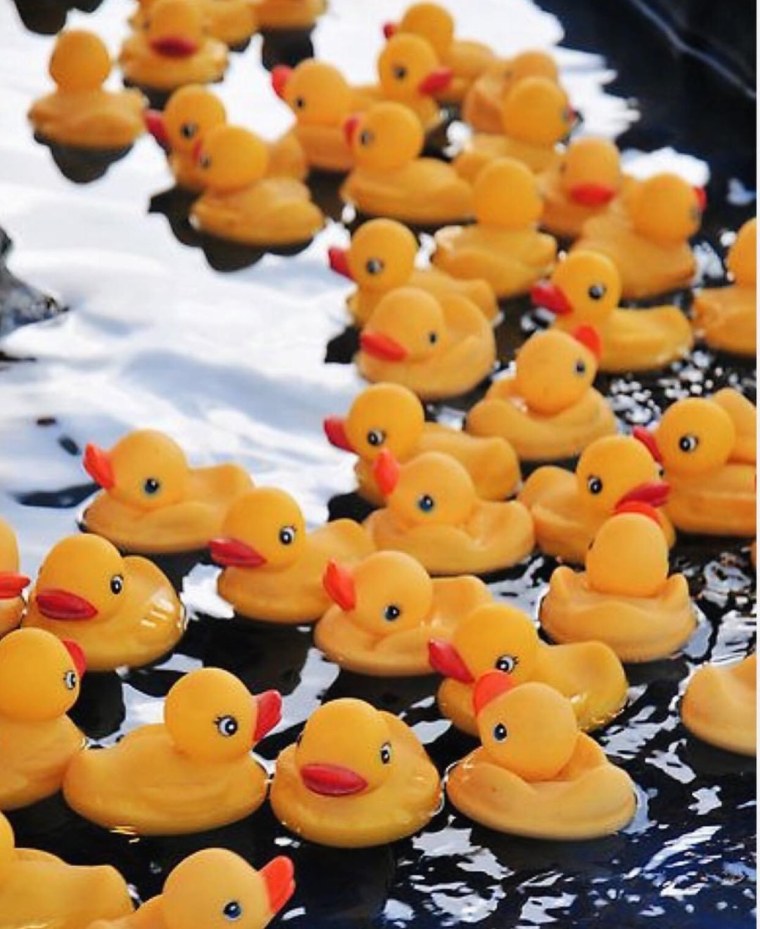 Утка Эстетика