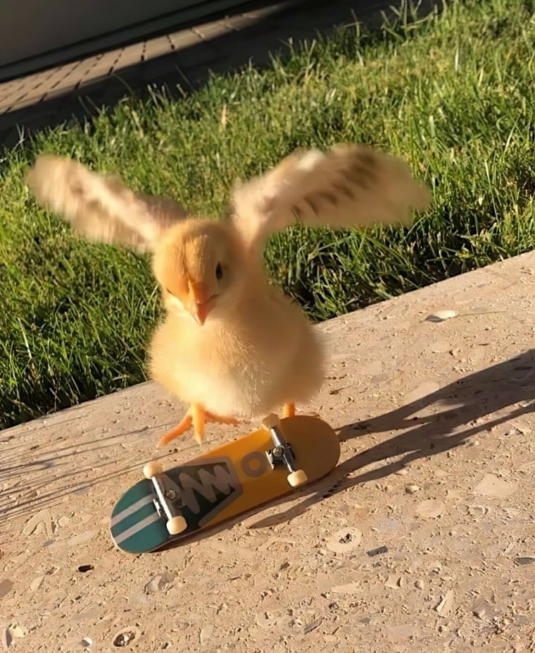 Резина уточка текстура