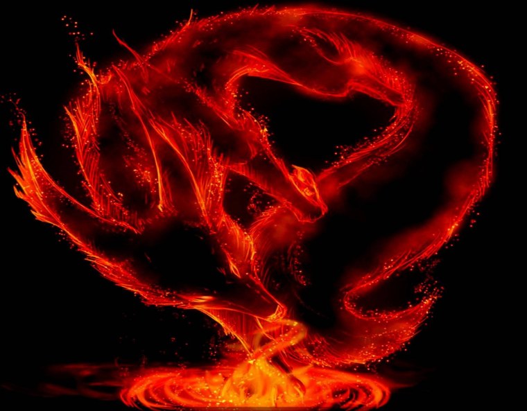 Огненный дракон