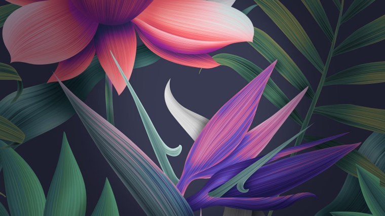Обои Huawei Mate 10 Pro