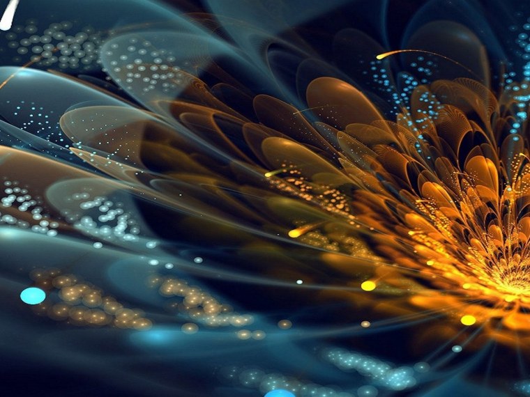 Цветы абстракция