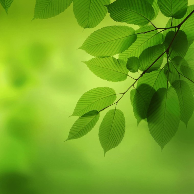 Обои на рабочий стол 1920х1080 Huawei