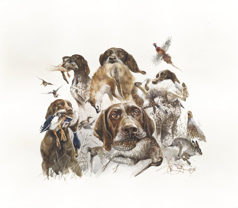 Курцхаар в живописи охота