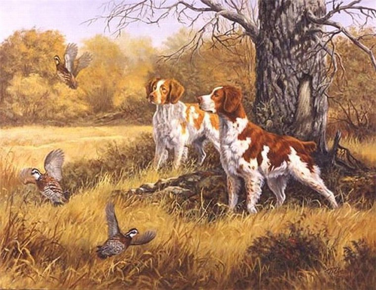 Художница Linda Picken