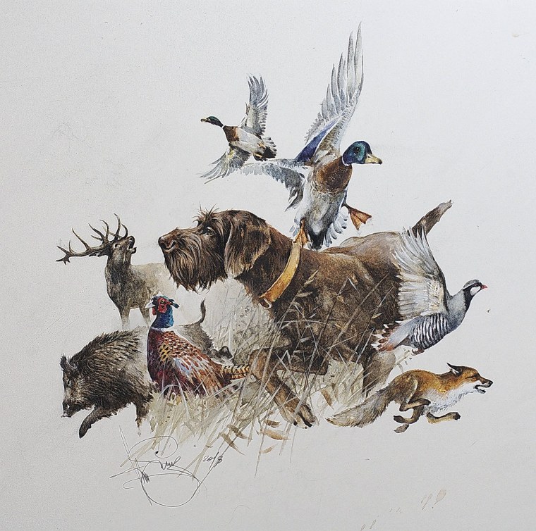 Охотничья тематика