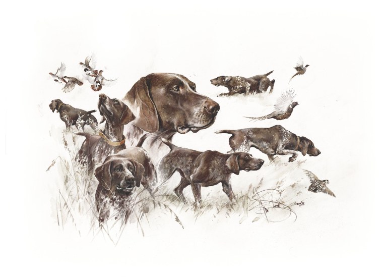 Курцхаар гравюра