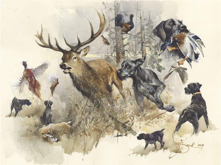 Охота иллюстрации