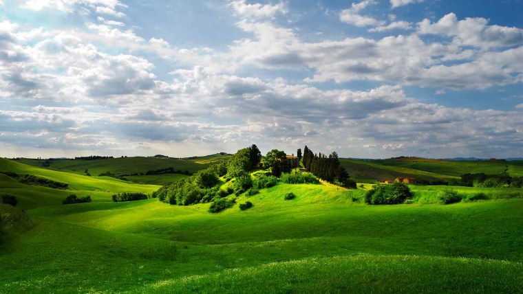 Соковыжималка avex JC-300pc