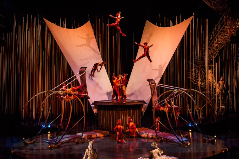 Шоу Варекай дю солей цирк