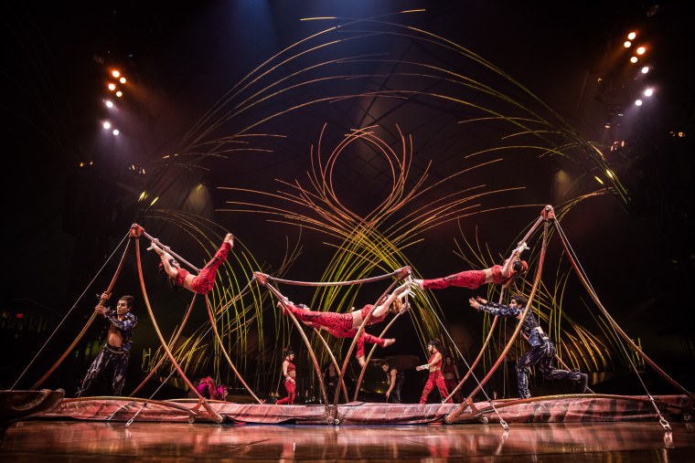 Циркачи цирка дю солей