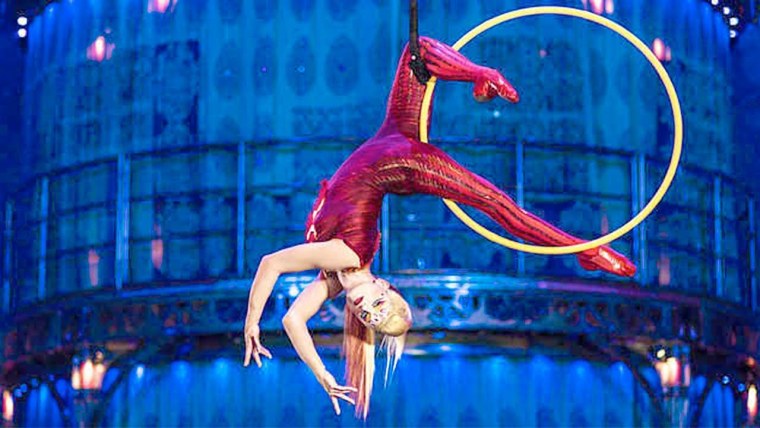 Цирк дю солей гимнасты