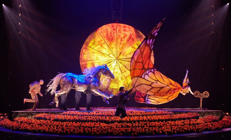 Цирк дю солей Luzia