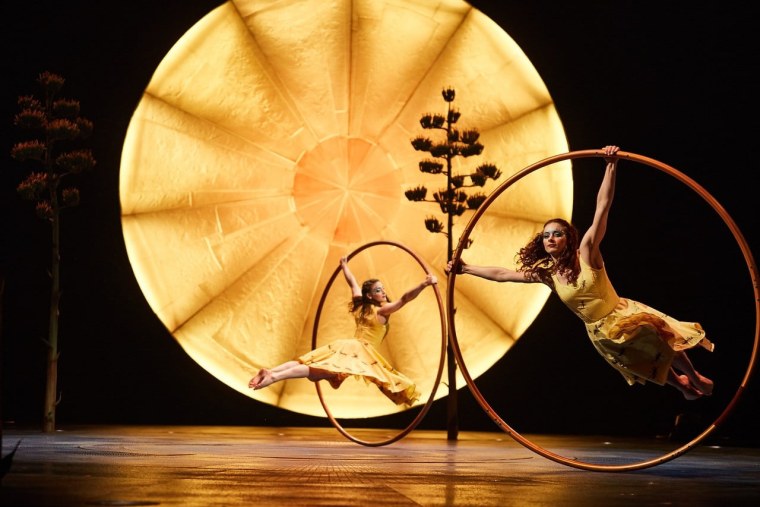 Цирк дю солей Luzia