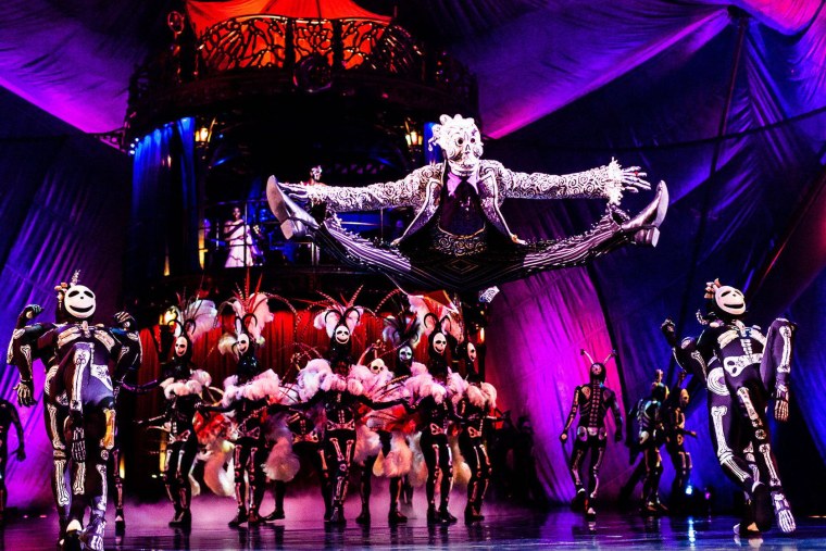 Цирк дю солей шоу