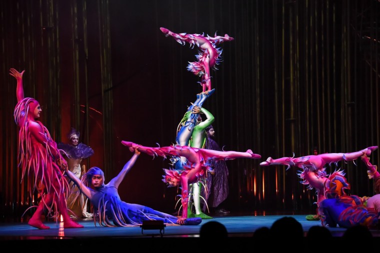 Cirque du Soleil цирк
