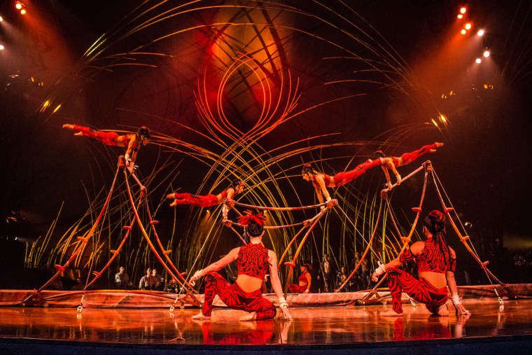 Цирк дю солей Канада