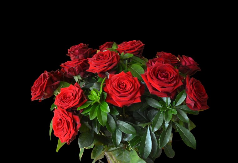 Темные розы