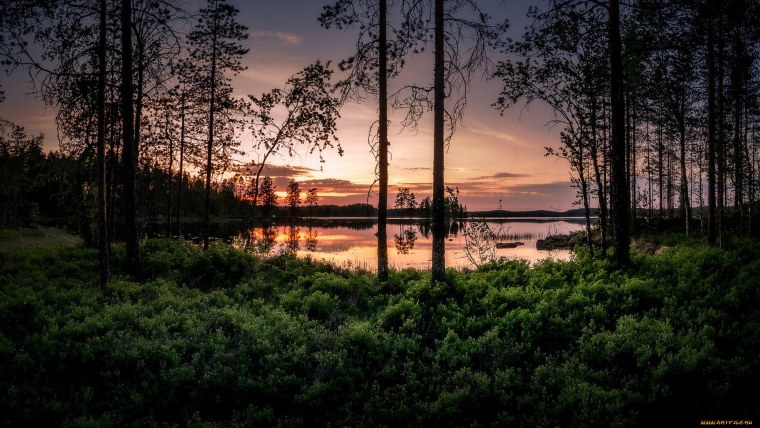 Карелия лес озеро