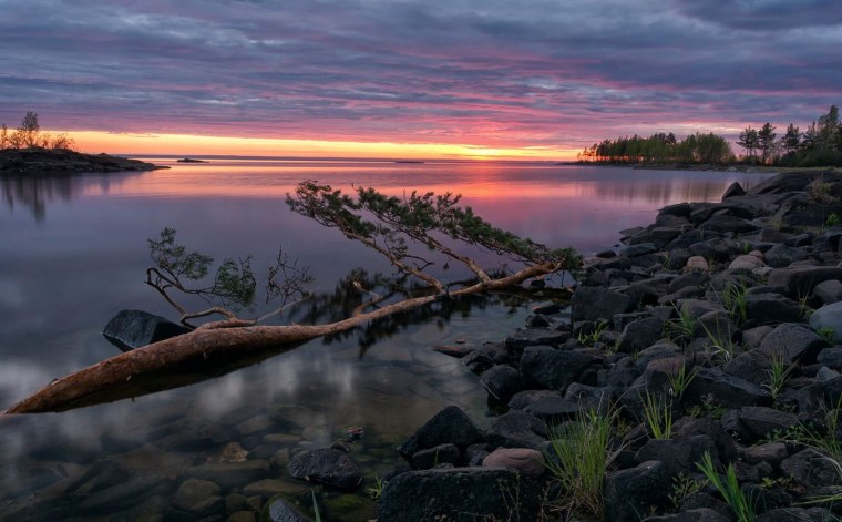 Карелия лес река