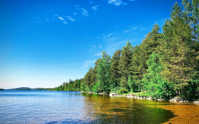 Карелия ручей