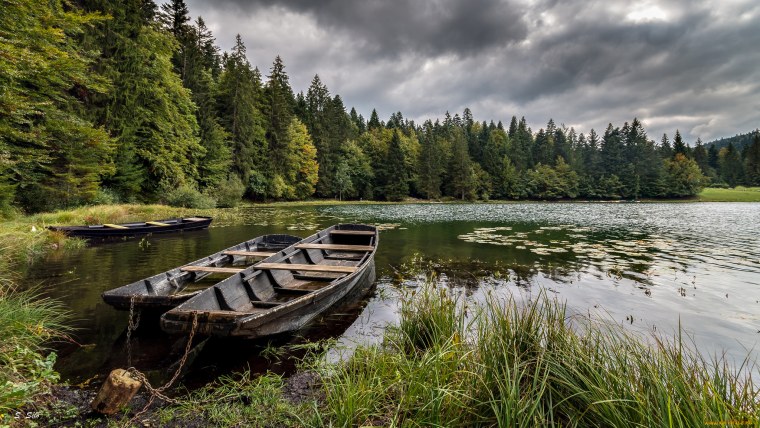 Карельская Тайга