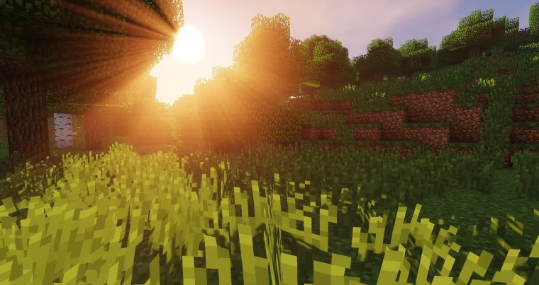 Майнкрафт Поляна с шейдерами