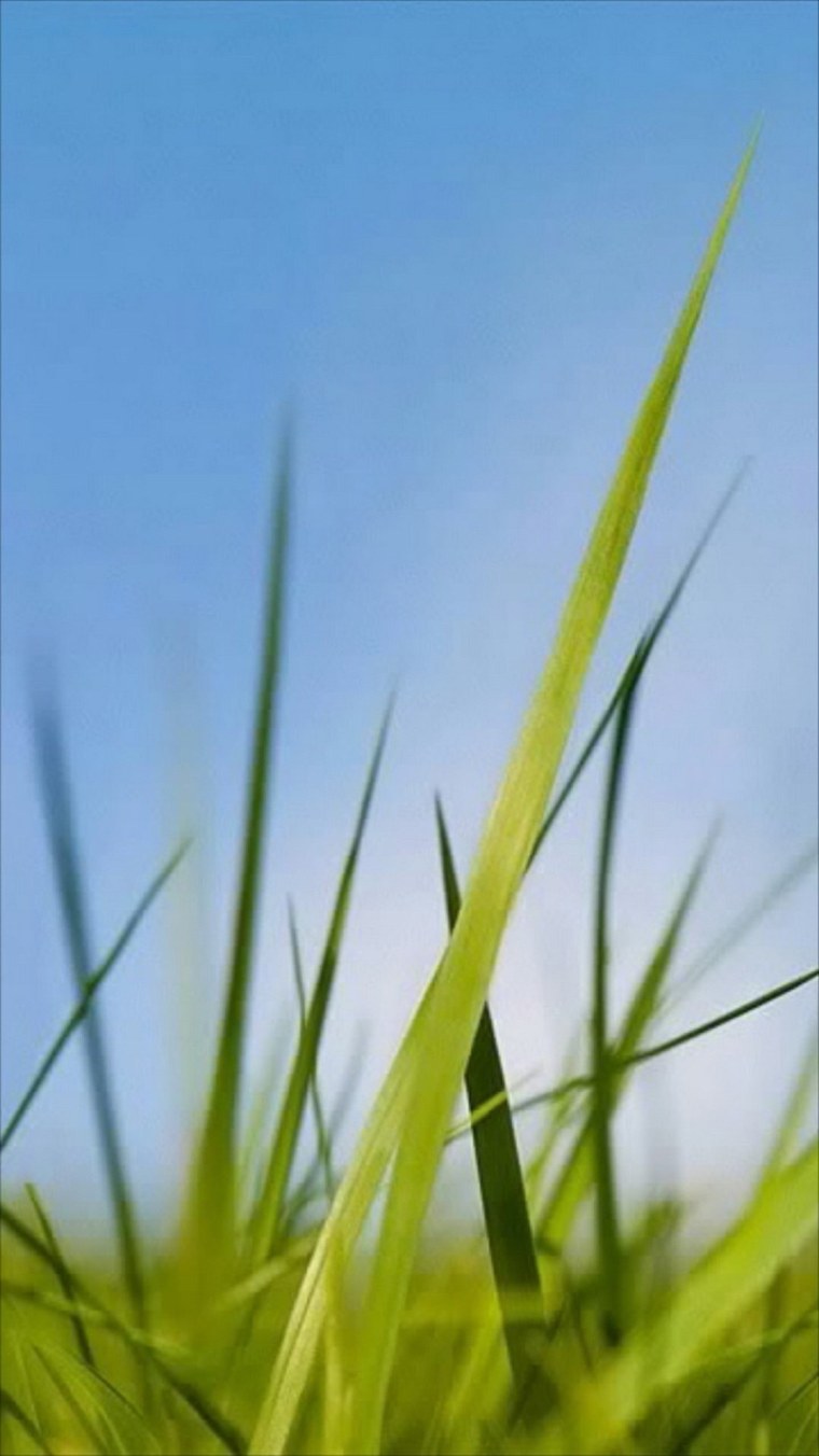 Стандартные заставки Nokia