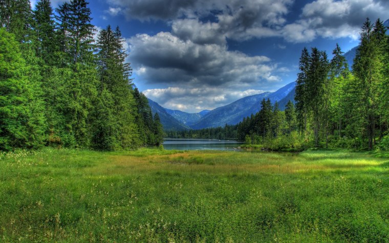 Умиротворяющий пейзаж