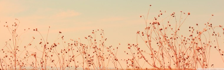 Красивые шапки для канала