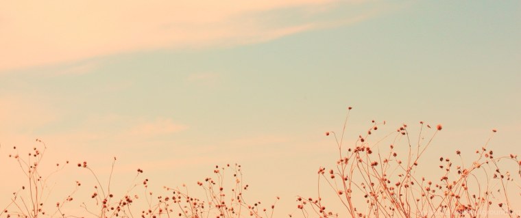 Шапка для фейсбука