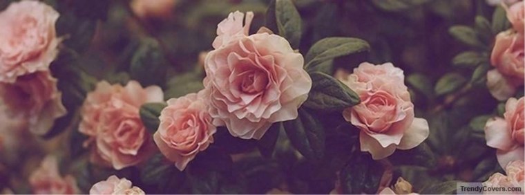 Шапка канала Минимализм