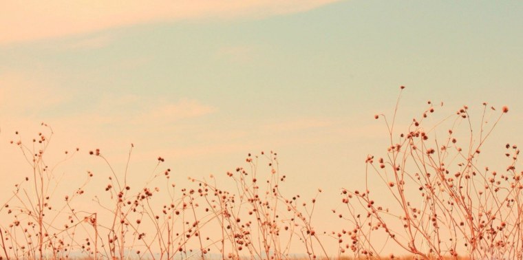 Фон для твиттера