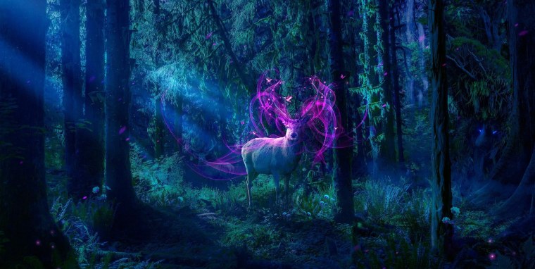 Фэнтези природа животные