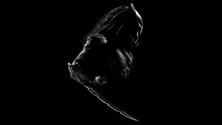 Хищник на черном фоне