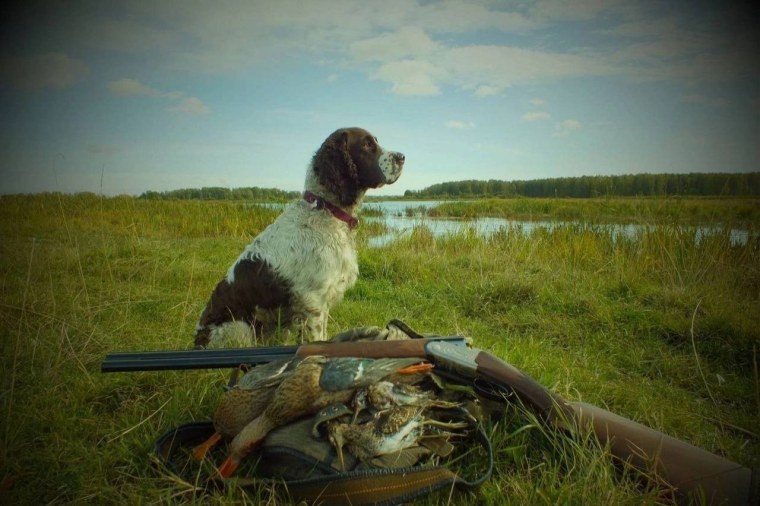 Охотник с собакой