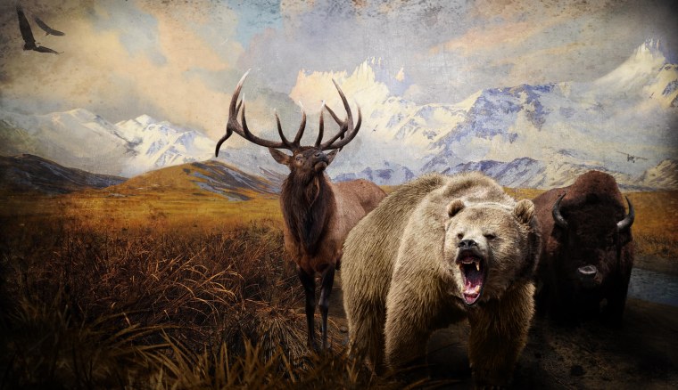 Женщина охотница