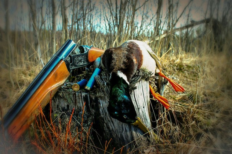 Обои на рабочий стол охота