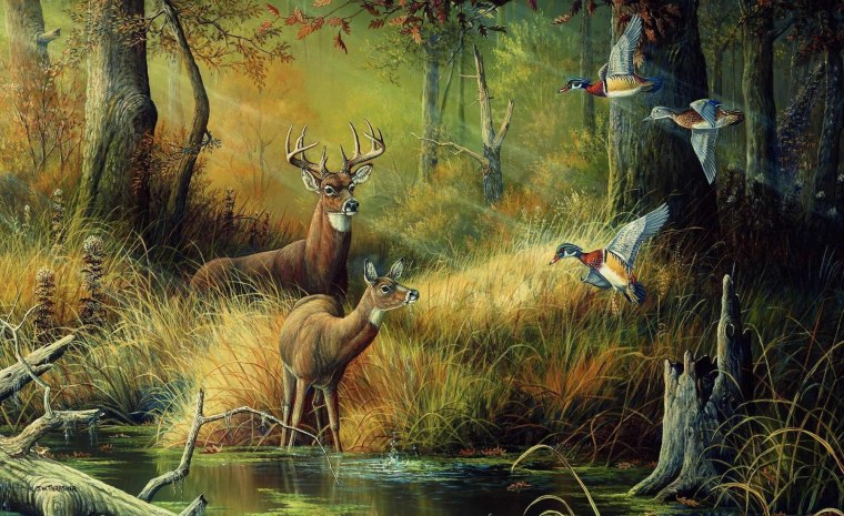 Охота на водоплавающую дичь 2022